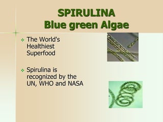 SPIRULINA
Blue green Algae
 The World's
Healthiest
Superfood
 Spirulina is
recognized by the
UN, WHO and NASA
 