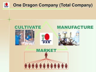 MARKET
MANUFACTURECULTIVATE
One Dragon Company (Total Company)
 