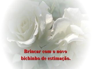 Brincar com o novo  bichinho de estimação.   