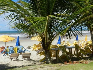 Cabana de Praia Bom Te Vê