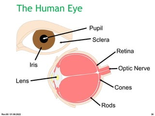 The Human Eye
Pupil
Iris
Sclera
Lens
Retina
Optic Nerve
Rods
Cones
Rev.00 / 01.08.2022 38
 