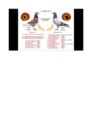 Bon 2021 demaret marichal