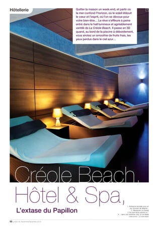 Le Bon Air Antilles Guyane N 17 Novembre Decembre 13