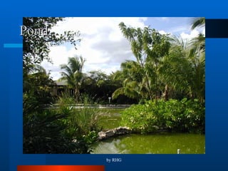Pond 