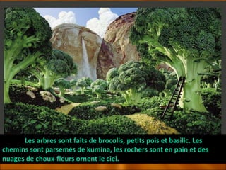 Les arbres sont faits de brocolis, petits pois et basilic. Les chemins sont parsemés de kumina, les rochers sont en pain et des nuages de choux-fleurs ornent le ciel. 
