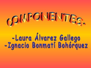 COMPONENTES: -Laura Álvarez Gallego -Ignacio Bonmatí Bohórquez 