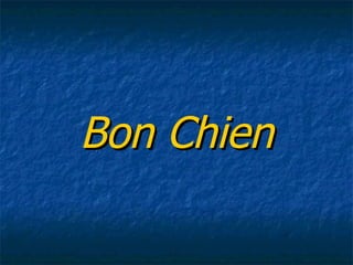 Bon Chien 