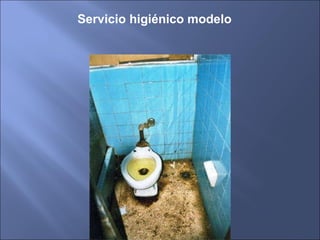 Servicio higiénico modelo 