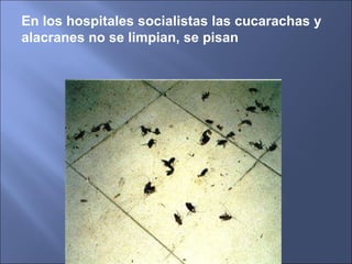 En los hospitales socialistas las cucarachas y alacranes no se limpian, se pisan 