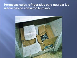 Hermosas cajas refrigeradas para guardar las medicinas de consumo humano 