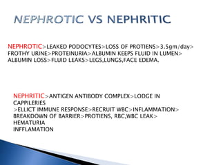 NEPHROTIC>LEAKED PODOCYTES>LOSS OF PROTIENS>3.5gm/day>
FROTHY URINE>PROTEINURIA>ALBUMIN KEEPS FLUID IN LUMEN>
ALBUMIN LOSS>FLUID LEAKS>LEGS,LUNGS,FACE EDEMA.
NEPHRITIC>ANTIGEN ANTIBODY COMPLEX>LODGE IN
CAPPILERIES
>ELLICT IMMUNE RESPONSE>RECRUIT WBC>INFLAMMATION>
BREAKDOWN OF BARRIER>PROTIENS, RBC,WBC LEAK>
HEMATURIA
INFFLAMATION
 