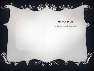 MÅNGA DJUR
Nu ska vi se vart alle djuren ær??
 