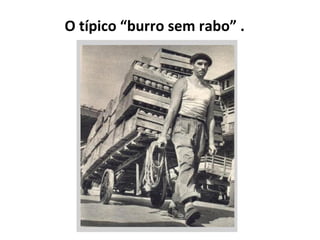 O típico “burro sem rabo” . 