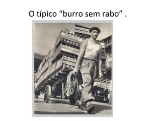 O típico “burro sem rabo” . 