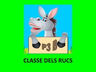 CLASSE DELS RUCS

 