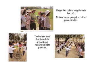 Vaig a l’escola al migdia amb barret. Es fan torns perquè no hi ha prou escoles. Treballem sota l’ombra dels arbres que nosaltres hem plantat. 