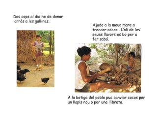 Ajude a la meua mare a trencar cocos . L’oli de les seues llavors es bo per a fer sabó. A la botiga del poble puc canviar cocos per un llapis nou o per una llibreta. Dos cops al dia he de donar arròs a les gallines. 