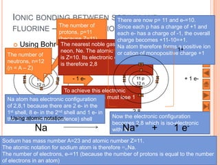IONIC BONDING BETWEEN SODIUM now p= 11 and e-=10.
                                   There are AND
    FLUORINE – protons, p=11 CATION FORMATIONcharge of +1 and
               The number of       Since each p has a
               STEP 1:




                                                                                       Prepared by JGL
                                   each e- has a charge of -1, the overall




                                                                                             8/21/2009
                  (because Z=11)            charge becomes +11-10=+1.
      Using Bohr-Rutherford diagrams atom
                   The nearest noble gas to Na is therefore forms a positive ion
                                            Na
                   neon, Ne. The atomic number for Ne                1+
  The number of                             or cation of monopositive charge +1
                   is Z=10. Its electronic configuration
  neutrons, n=12   is therefore 2,8
  (n = A – Z)

              11 p            - 1 e-                     11 p                + 1 e-
              12 n                                       12 n
                             To achieve this electronic
  Na atom has electronic configuration, Na must lose 1
                             configuration
                             e-
  of 2,8,1 because there are 2 e- in the
  1st shell, 8 2,8,1 the 2nd shell and 1 e- in
               e- in                                      2,8
    Using atomic notation,
  the 3rd or outermost (valence) shell           Now the electronic configuration
                                                 becomes 2,8 which is iso-electronic
             Na                                    Na      +    +        1e     -
                                                 with Ne.

Sodium has mass number A=23 and atomic number Z=11.
                                                                                97
The atomic notation for sodium atom is therefore 2311Na.
The number of electrons, e-=11 (because the number of protons is equal to the number
of electrons in an atom)
 