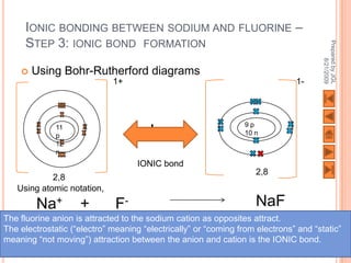 IONIC BONDING BETWEEN SODIUM AND FLUORINE –
     STEP 3: IONIC BOND FORMATION




                                                                                      Prepared by JGL
                                                                                            8/21/2009
       Using Bohr-Rutherford diagrams
                             1+                                               1-




              11
              p                       +                         9p
                                                                10 n
              12
              n
                                    IONIC bond
                                                                   2,8
            2,8
   Using atomic notation,

        Na+         +         F-                                   NaF
The fluorine anion is attracted to the sodium cation as opposites attract.
The electrostatic (“electro” meaning “electrically” or “coming from electrons” and “static”
                                                                                    99
meaning “not moving”) attraction between the anion and cation is the IONIC bond.
 