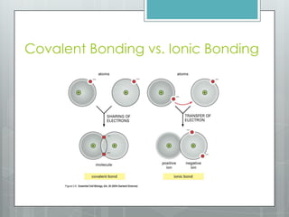 Covalent Bonding vs. Ionic Bonding
 