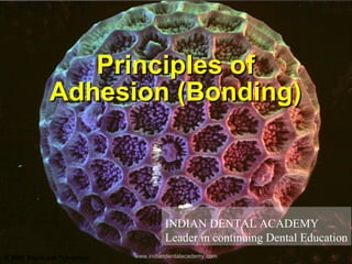 INDIAN DENTAL ACADEMY
Leader in continuing Dental Education
Principles ofPrinciples of
Adhesion (Bonding)Adhesion (Bonding)
© 2006, Bayne and Thompson www.indiandentalacademy.com
 