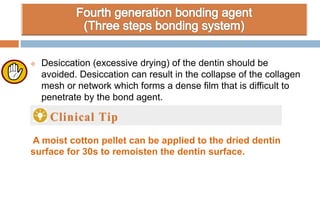  Desiccation (excessive drying) of the dentin should be
avoided. Desiccation can result in the collapse of the collagen
mesh or network which forms a dense film that is difficult to
penetrate by the bond agent.
A moist cotton pellet can be applied to the dried dentin
surface for 30s to remoisten the dentin surface.
 