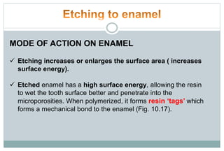 MODE OF ACTION ON ENAMEL
 Etching increases or enlarges the surface area ( increases
surface energy).
 Etched enamel has a high surface energy, allowing the resin
to wet the tooth surface better and penetrate into the
microporosities. When polymerized, it forms resin ‘tags’ which
forms a mechanical bond to the enamel (Fig. 10.17).
 