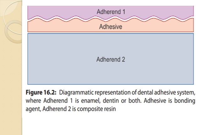 Adhesion and Dentin Bonding agent | PDF | Dental Health | Diseases and ...