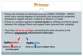  Primer are mixtures of monomers such as (HEMA-TEGDMA- 10MPD)
which have varying degrees of hydrophilic and hydrophobic properties
dissolved in organic solvent ( acetone or ethanol ) or water .
 Primer is a solution applied to etched dentin to infiltrate and fill the space
between the collagen fibers and support them (prevent their collapse).
 Thus they serve as a bridge connecting the tooth structure to the
adhesive (amphiphilic bifunctional molecules)
binds to adhesive or binds to exposed collagen fibers.
bonding agent
philicphobic
 