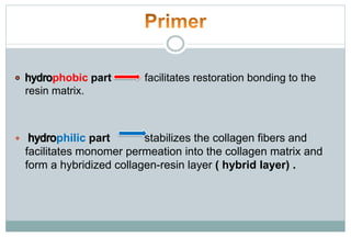 phobic part facilitates restoration bonding to the
resin matrix.
 philic part stabilizes the collagen fibers and
facilitates monomer permeation into the collagen matrix and
form a hybridized collagen-resin layer ( hybrid layer) .
 