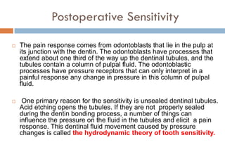 Postoperative Sensitivity
 The pain response comes from odontoblasts that lie in the pulp at
its junction with the dentin. The odontoblasts have processes that
extend about one third of the way up the dentinal tubules, and the
tubules contain a column of pulpal fluid. The odontoblastic
processes have pressure receptors that can only interpret in a
painful response any change in pressure in this column of pulpal
fluid.
 One primary reason for the sensitivity is unsealed dentinal tubules.
Acid etching opens the tubules. If they are not properly sealed
during the dentin bonding process, a number of things can
influence the pressure on the fluid in the tubules and elicit a pain
response. This dentinal fluid movement caused by pressure
changes is called the hydrodynamic theory of tooth sensitivity.
 