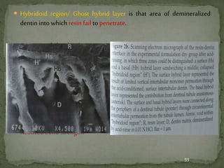  Hybridoid region/ Ghost hybrid layer is that area of demineralized
dentin into which resin fail to penetrate.
 It is one of the disadvantages in dry bonding technique because of
ineffective resin penetration due to collagen collapse
 It appears if surface air dried for more than 3 sec.
 This zone inside the hybrid layer do not appear electron dense on
demineralized TEM sections.
 Reduced bond strength.
53
 