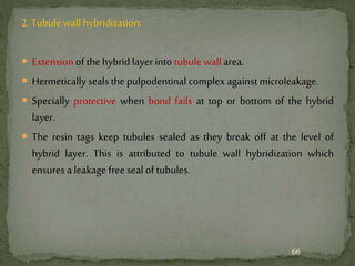 2. Tubulewall hybridization:
 Extensionof the hybrid layer into tubule wallarea.
 Hermetically sealsthe pulpodentinal complex againstmicroleakage.
 Specially protective when bond fails at top or bottom of the hybrid
layer.
 The resin tags keep tubules sealed as they break off at the level of
hybrid layer. This is attributed to tubule wall hybridization which
ensures aleakage free seal of tubules.
66
 