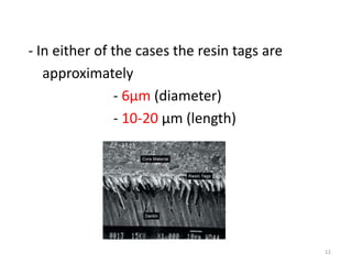 - In either of the cases the resin tags are
approximately
- 6µm (diameter)
- 10-20 µm (length)
12
 