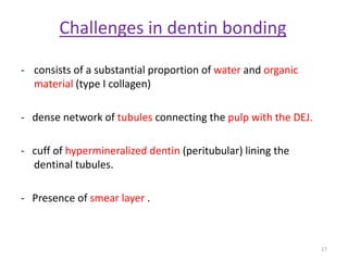 Challenges in dentin bonding
- consists of a substantial proportion of water and organic
material (type I collagen)
- dense network of tubules connecting the pulp with the DEJ.
- cuff of hypermineralized dentin (peritubular) lining the
dentinal tubules.
- Presence of smear layer .
17
 