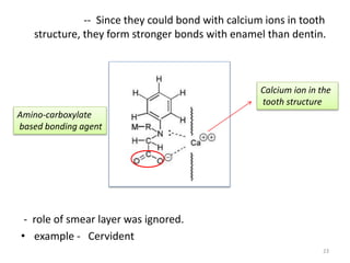-- Since they could bond with calcium ions in tooth
structure, they form stronger bonds with enamel than dentin.
- role of smear layer was ignored.
• example - Cervident
23
Amino-carboxylate
based bonding agent
Calcium ion in the
tooth structure
 