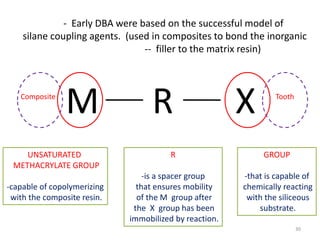30
- Early DBA were based on the successful model of
silane coupling agents. (used in composites to bond the inorganic
-- filler to the matrix resin)
M R X
UNSATURATED
METHACRYLATE GROUP
-capable of copolymerizing
with the composite resin.
GROUP
-that is capable of
chemically reacting
with the siliceous
substrate.
R
-is a spacer group
that ensures mobility
of the M group after
the X group has been
immobilized by reaction.
Composite Tooth
 