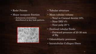 13
• Tubular structure
• Mean tubular volume
– Total in Coronal dentin-10%
– Near DEJ 4%
– Near pulp 28 %
• Dentinal tubular fluids-
– Outward pressure of 25-30 mm
of Hg
• Odontoblastic processes
• Intratubular Collagen fibers
• Rods/ Prisms
• Major inorganic fraction
– Submicron crystallites
distributed in key-hole pattern.
 