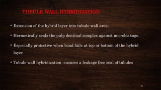 39
TUBULE WALL HYBRIDIZATION
• Extension of the hybrid layer into tubule wall area.
• Hermetically seals the pulp dentinal complex against microleakage.
• Especially protective when bond fails at top or bottom of the hybrid
layer
• Tubule wall hybridization ensures a leakage free seal of tubules
 
