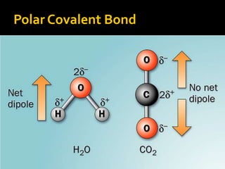 Polar Covalent Bond
 