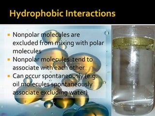 Hydrophobic Interactions

   Nonpolar molecules are
    excluded from mixing with polar
    molecules
   Nonpolar molecules tend to
    associate with each other
   Can occur spontaneously (e.g.
    oil molecules spontaneously
    associate excluding water)
 