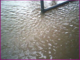 Bonding moments with my dearest friends