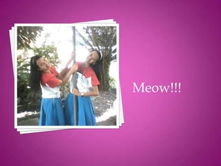 Meow!!!
 
