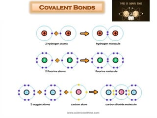 Covalent Bonds
 