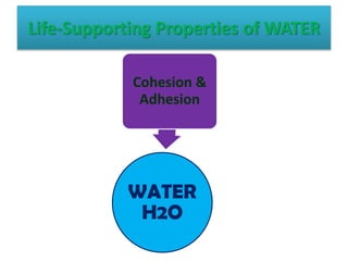 Life-Supporting Properties of WATER
WATER
H2O
Cohesion &
Adhesion
 