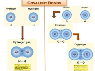 Covalent Bonds
 