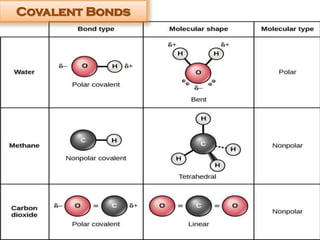 Covalent Bonds
 