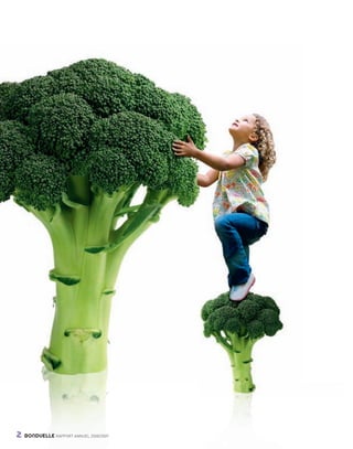 2    BONDUELLE RAPPORT ANNUEL 2008/2009


Bond RA09_int.indd A2                          04/11/09 15:12
 