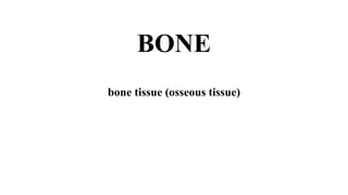 BONE
bone tissue (osseous tissue)
 
