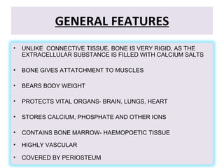 Bone | PPT